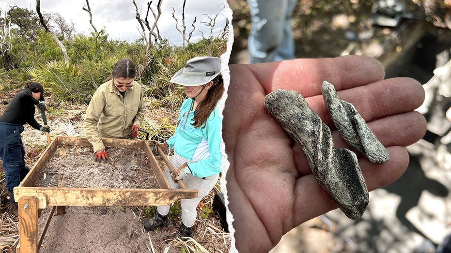 Ancient artifacts found beneath Cape Canaveral Space Force Station as one mystery still stumps researchers School Education