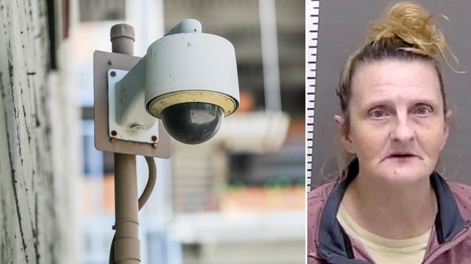 Facial recognition jails innocent grandmother, attorney says School Education